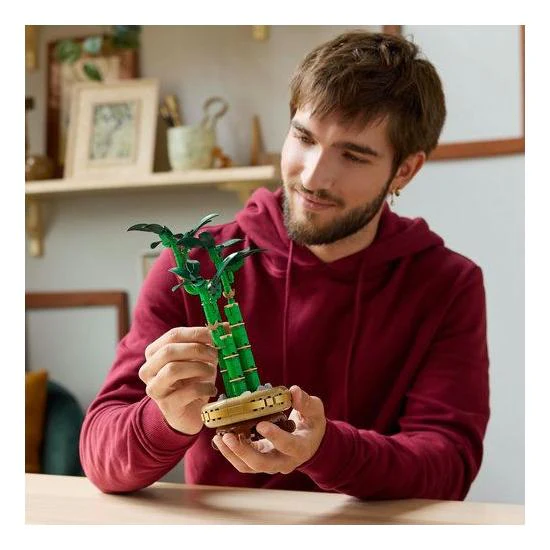 Bambu Da Sorte Lego - Image 7