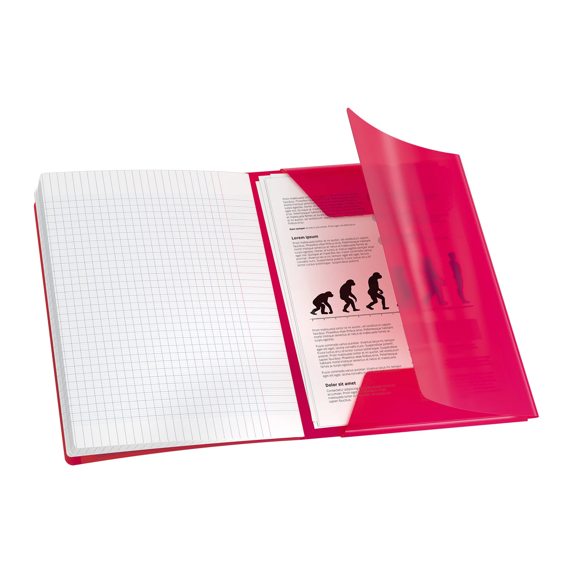 Caderno Agrafado A4 Quadriculado Easybook Sortido 3Em1 Oxford - Image 2