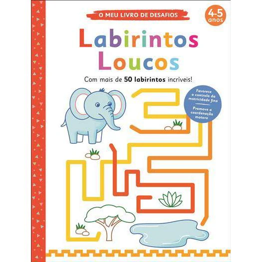 Labirintos Loucos de Elizabeth Golding - O Meu Livro de Desafios: