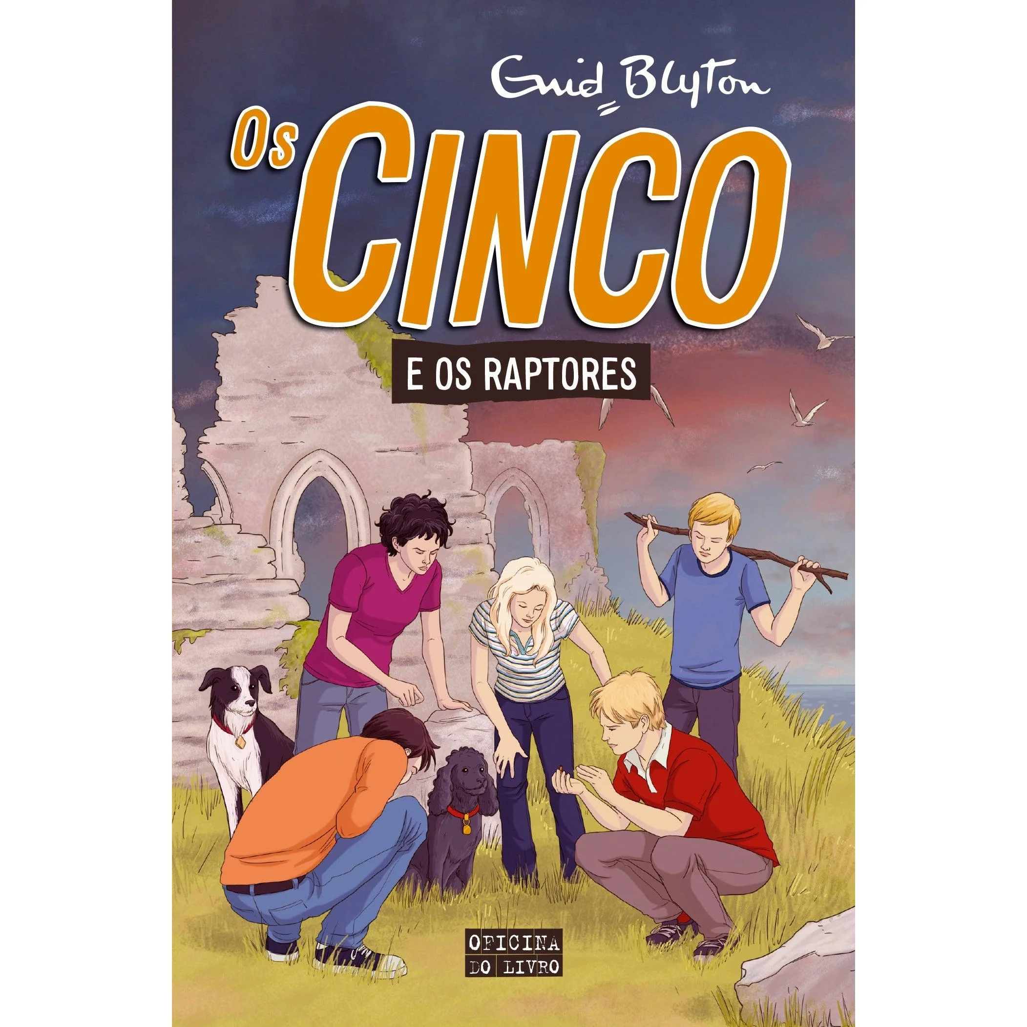 Os Cinco Nº 14 - os Cinco e os Raptores de Enid Blyton