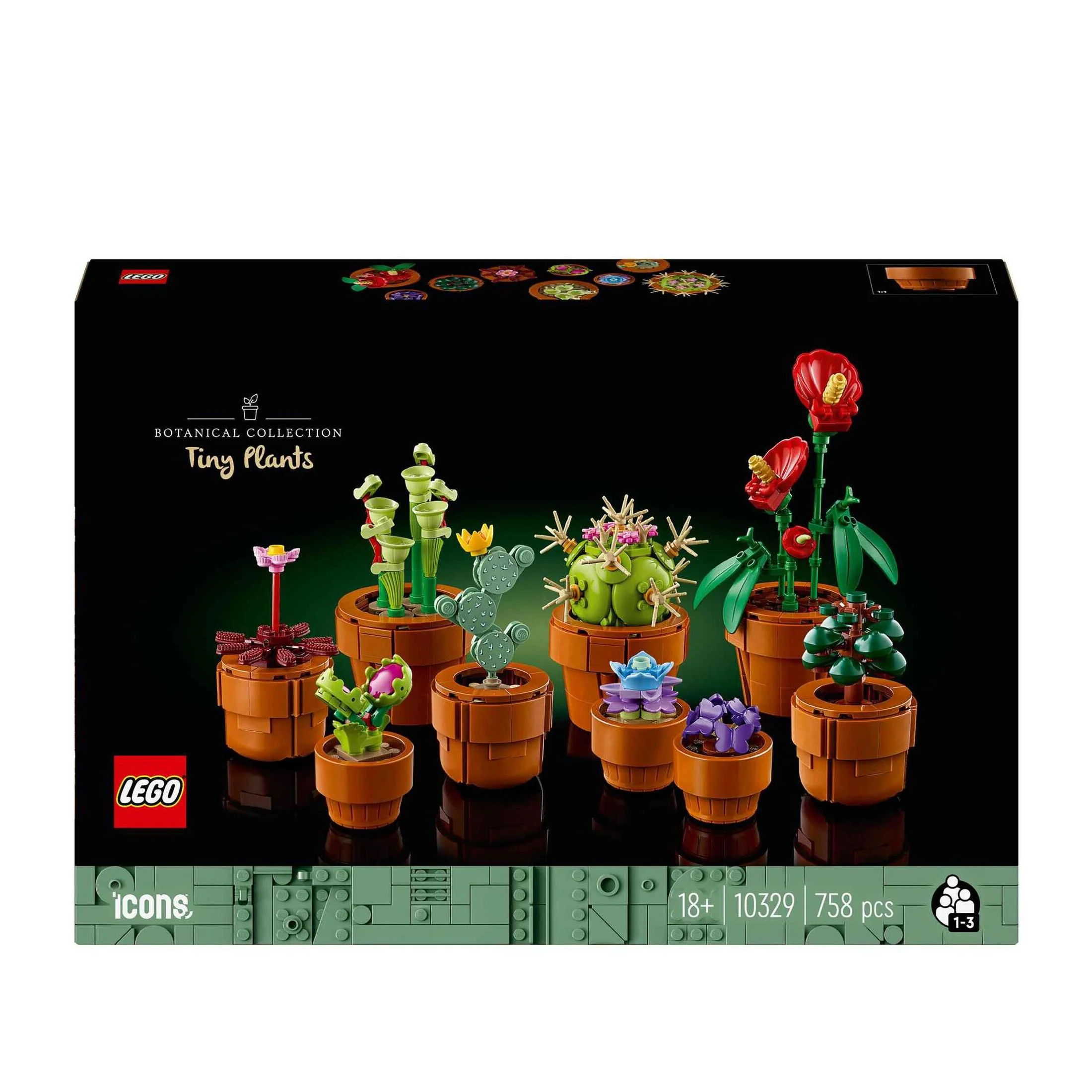 Plantas em Miniatura - 10329