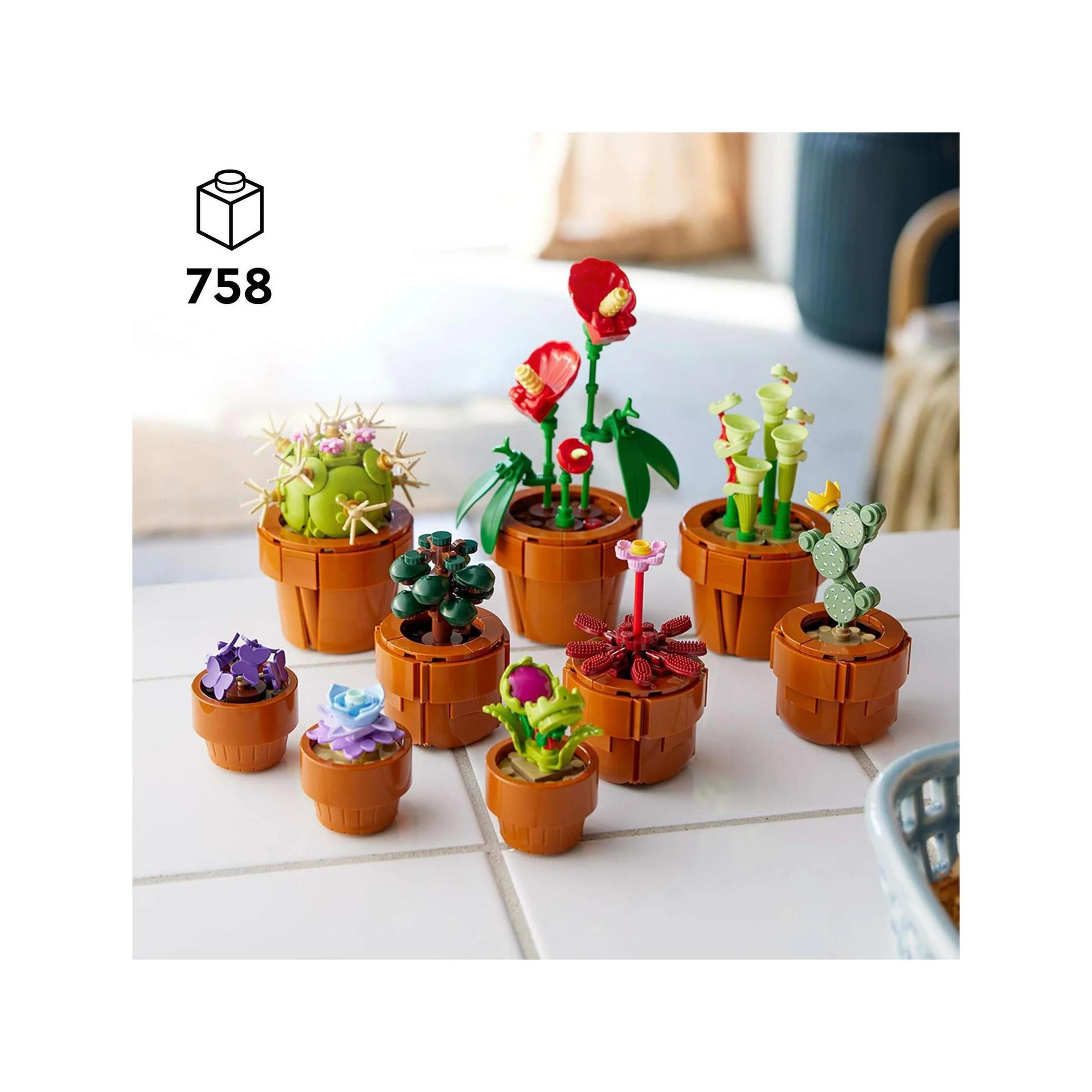 Plantas em Miniatura - 10329 - Image 2