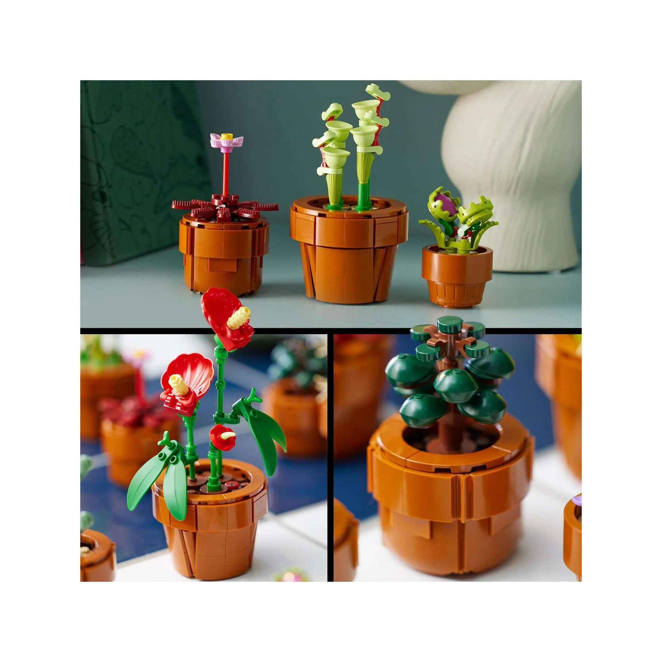 Plantas em Miniatura - 10329 - Image 3