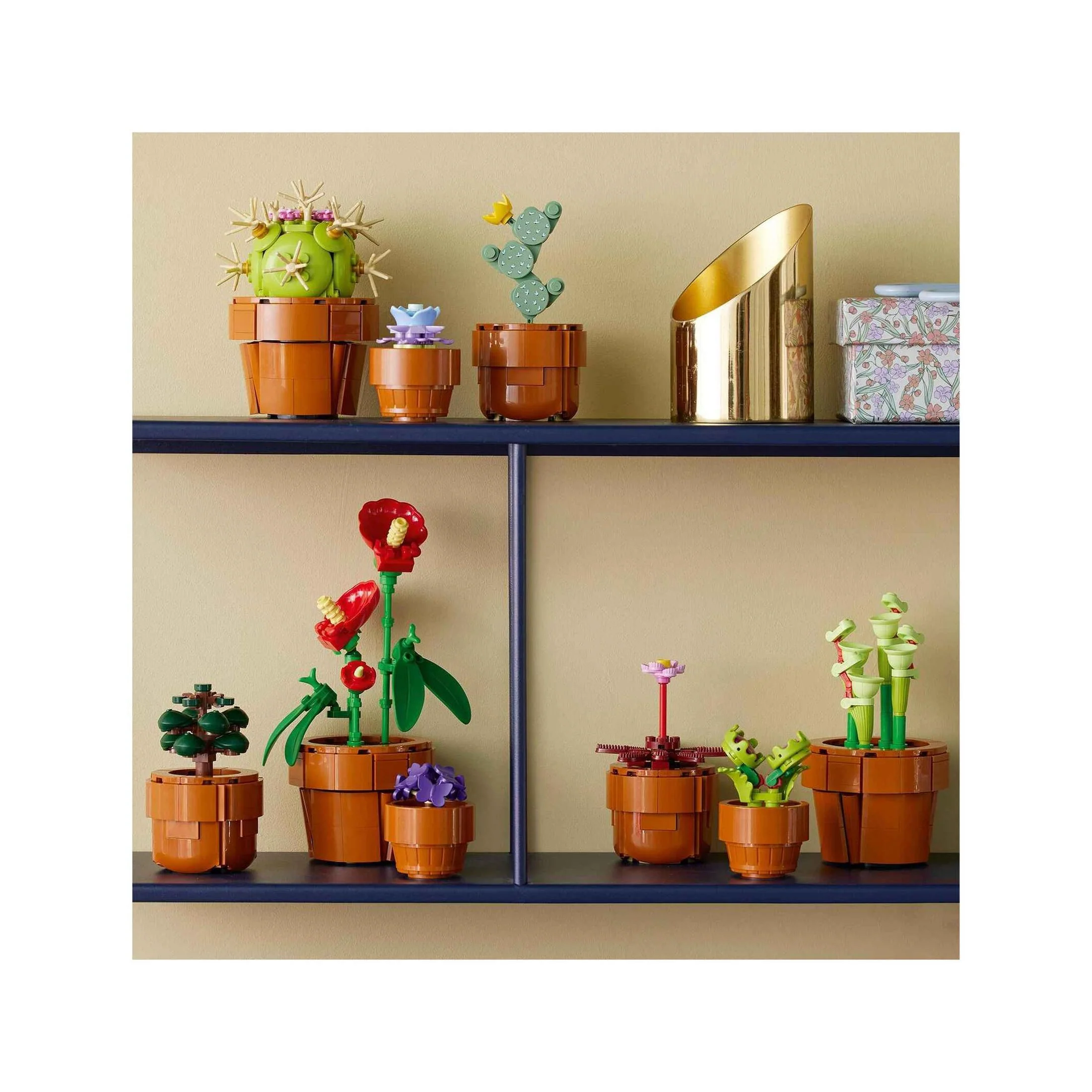 Plantas em Miniatura - 10329 - Image 4