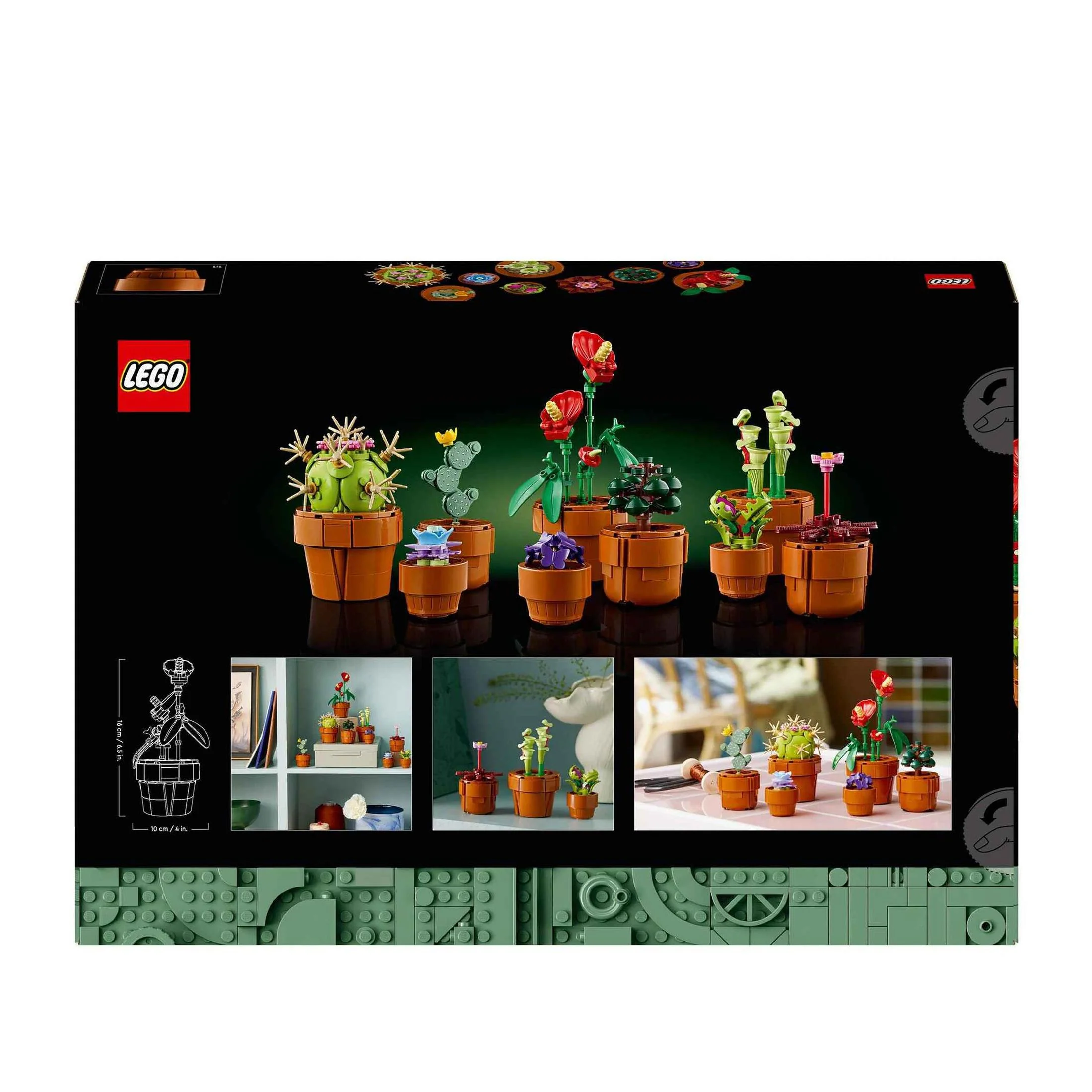 Plantas em Miniatura - 10329 - Image 7